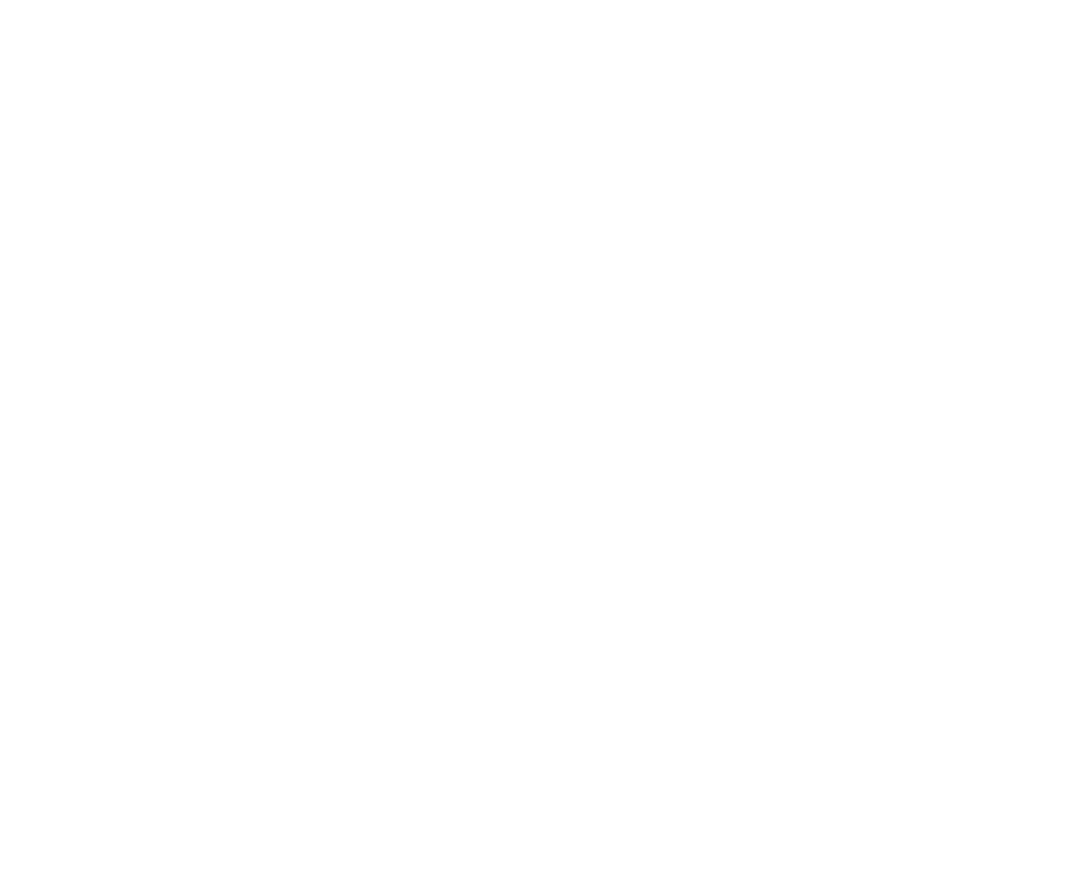 Tribit Logo